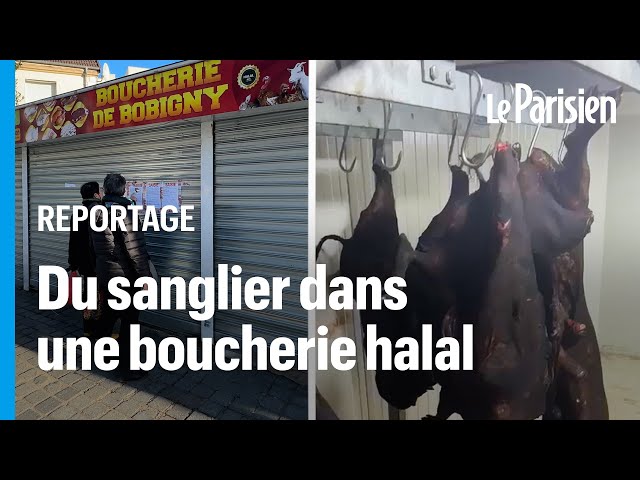 ⁣« On n’est pas respectés ! » : des sangliers retrouvés dans une boucherie halal du 93