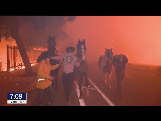 ⁣100mph winds, homes burning down, thousands forced to evacuate in California wildfires