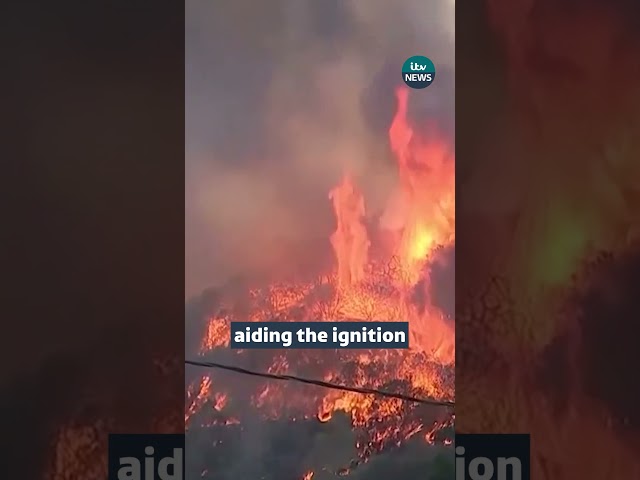 ⁣South California wildfires: Explained