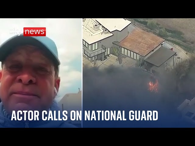 ⁣California wildfires: Actor Steve Guttenberg calls on national guard to be brought in