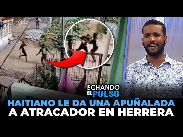 ⁣Haitiano le propina una estocada a atracador en La Caña del Abanico de Herrera | Echando El Pulso