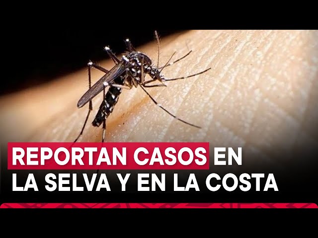 ⁣Se registran más de 700 casos de dengue en lo que va del 2025, según el Ministerio de Salud