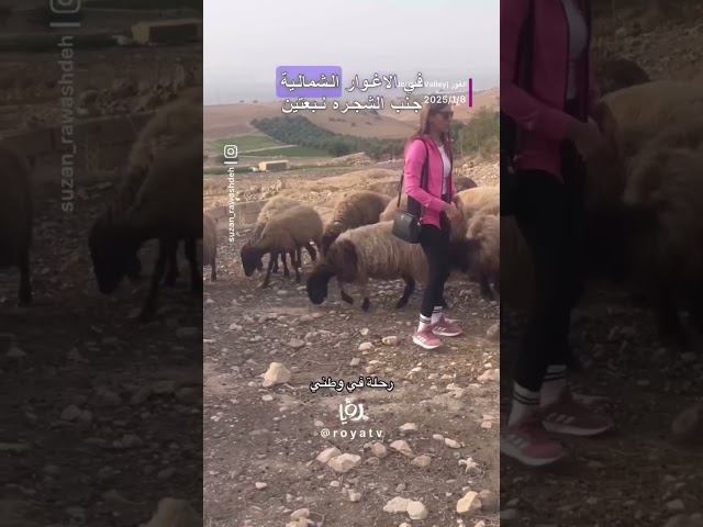 ⁣رحلة الى الهجيجة في غور الاردن