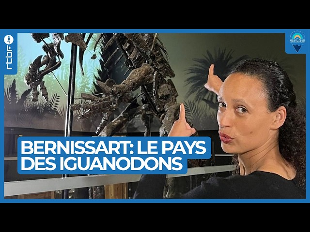 ⁣Bernissart : le pays des iguanodons - Les Ambassadeurs