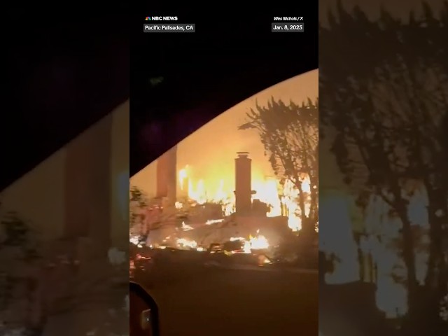 ⁣Video shows damage from Palisades Fire