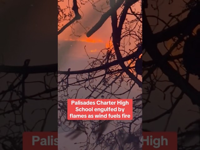 ⁣Palisades Charter High School engulfed by flames #shorts