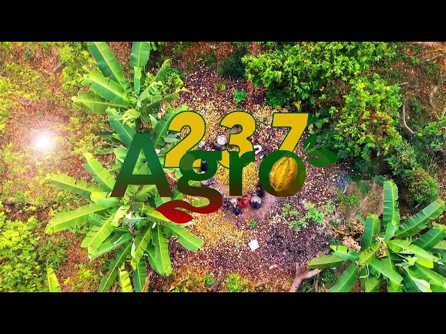 ⁣237 AGRO DU MERCREDI 08 JANVIER 2025 - ÉQUINOXE TV