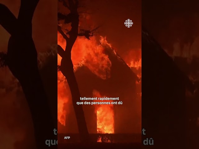 ⁣D’immenses feux de forêt menacent Los Angeles