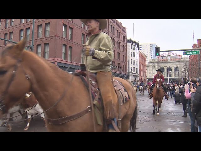 ⁣Snow forces 1-hour delay for National Western Stock Show Parade