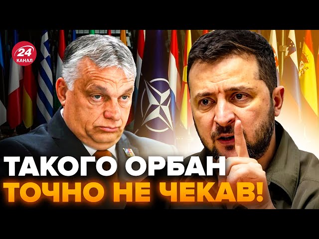 ⁣Це ЛЯПАС Орбану! Україна ШОКУВАЛА Угорщину по НАТО. Реакція на заяви щодо газу РФ