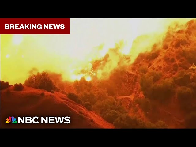 ⁣BREAKING: New wildfire burns in Hollywood Hills near Runyon Canyon