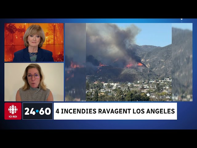 ⁣Los Angeles en proie aux flammes | 24•60