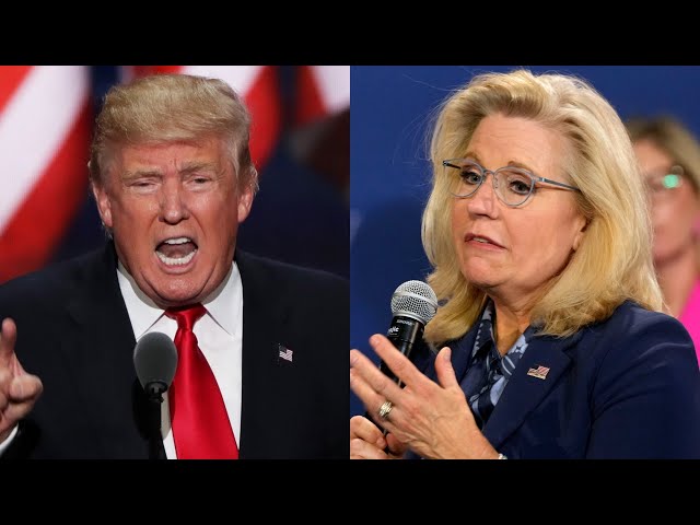 ⁣‘I don’t care about her’: Trump labels Biden ‘ridiculous’ for considering Liz Cheney pardon