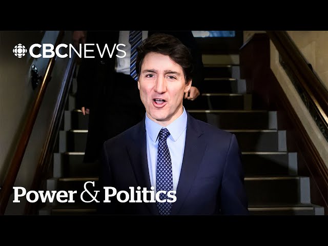 ⁣What do Liberals want in their next leader? | Power & Politics