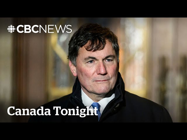 ⁣Some Liberal MPs want LeBlanc to reconsider joining leadership race | Canada Tonight