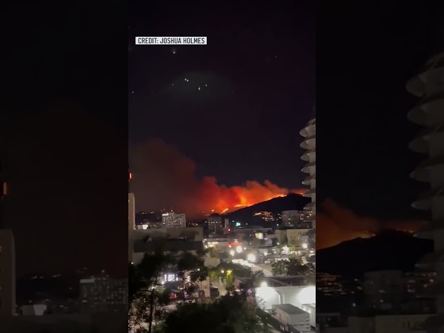 ⁣Hollywood Hills Wildfire