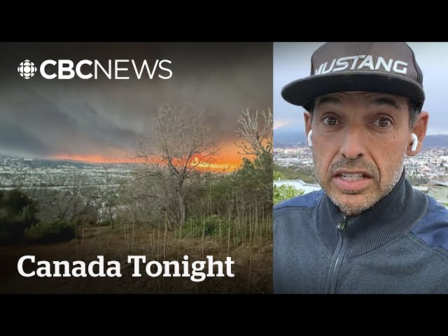 ⁣Wildfires 'an inferno,' says Canadian actor Shaun Majumder from L.A. home | Canada Tonight