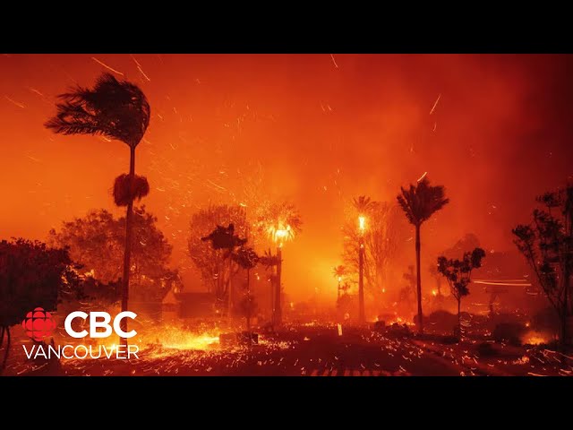 ⁣Former Vancouver resident describes what it's like as wildfires rip through Los Angeles