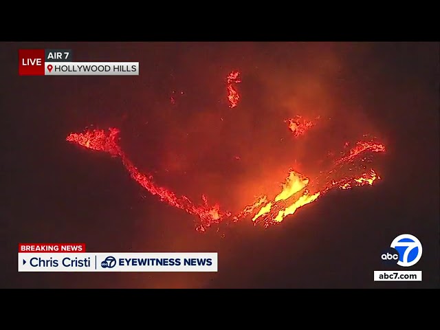 ⁣Brush fire breaks out in Hollywood Hills