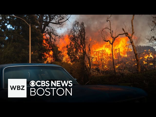 ⁣Families fleeing California fires arrive in Massachusetts