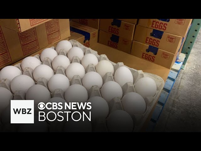 ⁣Bird flu driving up egg prices for Boston restaurant