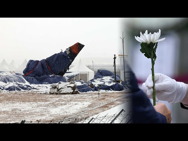 ⁣제주항공 참사 11일 만에 희생자 179명 모두 영면 / 연합뉴스TV (YonhapnewsTV)