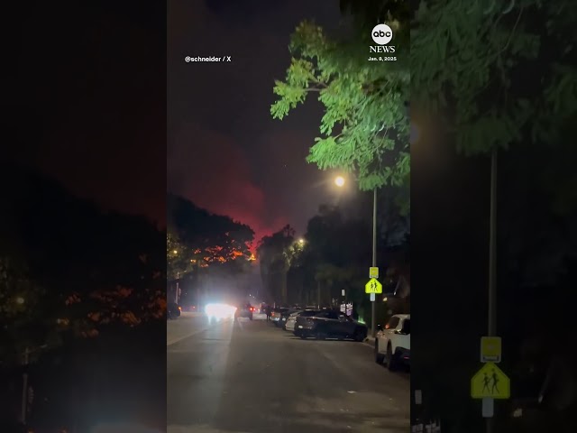 ⁣New fire erupts in LA's Hollywood Hills near Runyon Canyon