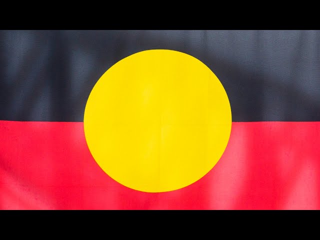 ⁣‘Dividing the country’: Western Sydney councillor calls for the removal of Indigenous flag