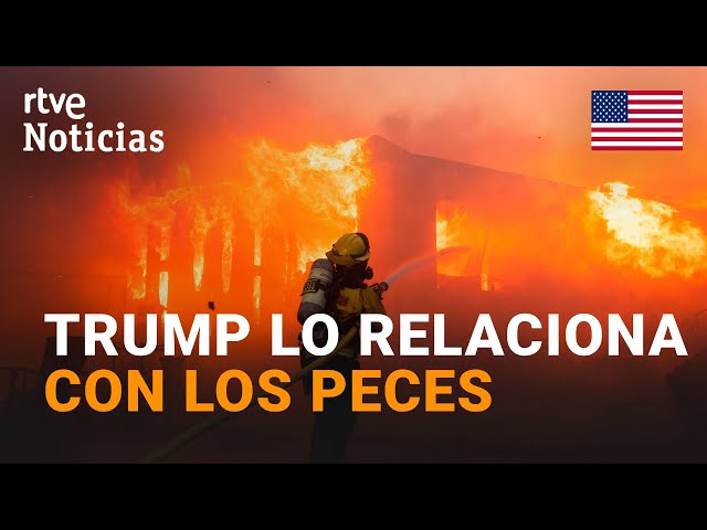 ⁣EE.UU.: TRUMP culpa a la PROTECCIÓN de los PECES de los INCENDIOS de LOS ÁNGELES, con CINCO MUERTOS