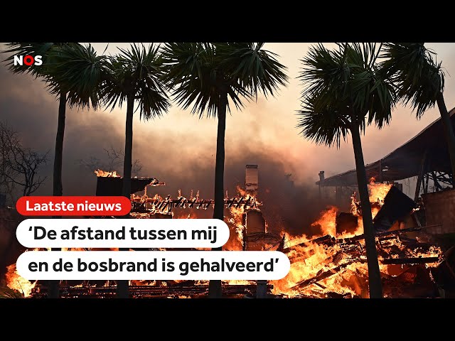 ⁣Brandweer Los Angeles lijkt machteloos tegen natuurbranden