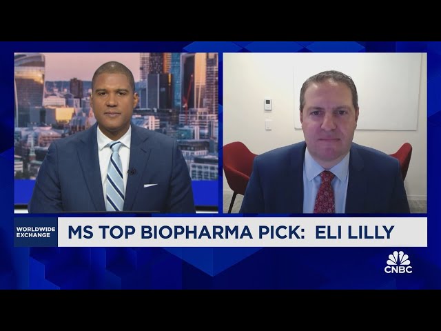 ⁣Flynn: Eli Lilly could capture a significant part of a $100 billion market with Zepbound.