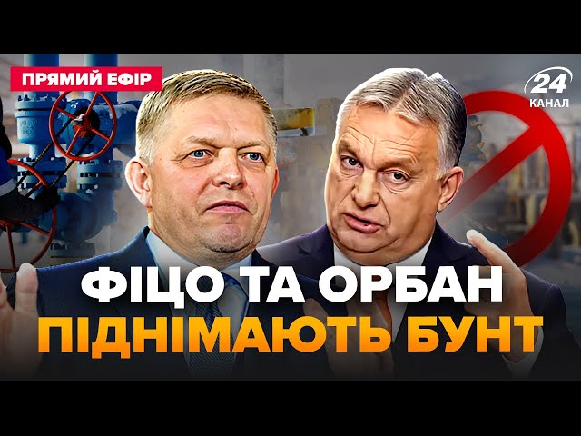 ⁣У Орбана та Фіцо підняли СКАНДАЛ в ЄС! В ефірі СКАБЄЄВОЇ ЗІРВАЛИСЯ через Зеленського@24онлайн