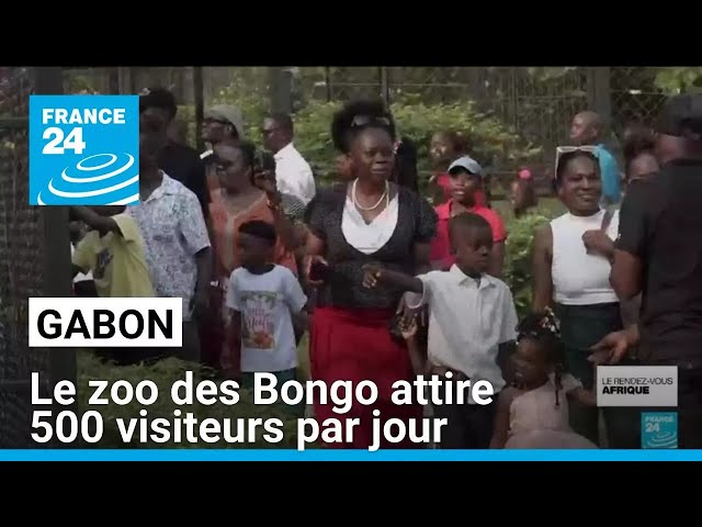 ⁣Gabon : le zoo des Bongo attire 500 visiteurs par jour • FRANCE 24