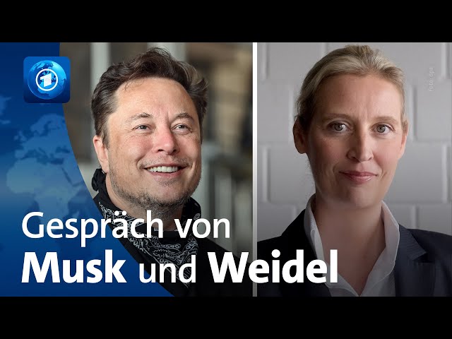 ⁣Experte ordnet geplantes Gespräch zwischen Musk und Weidel ein