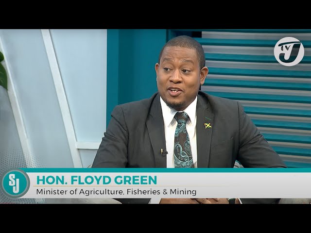 ⁣Cool Solutions for Agriculture with Hon. Floyd Green | TVJ Smile Jamaica