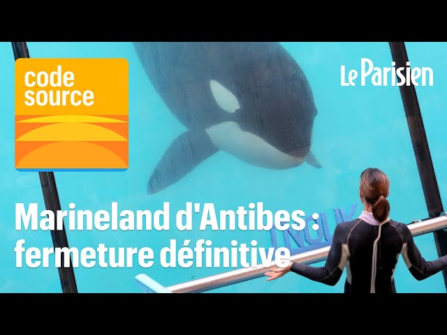 ⁣[PODCAST] Bien-être animal, baisse des visites... Pourquoi le plus grand zoo marin d'Europe a f