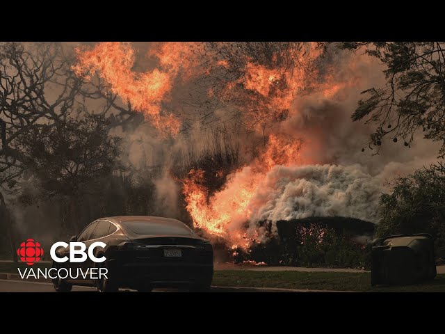 ⁣B.C. company sends aircraft to help fight L.A. wildfires