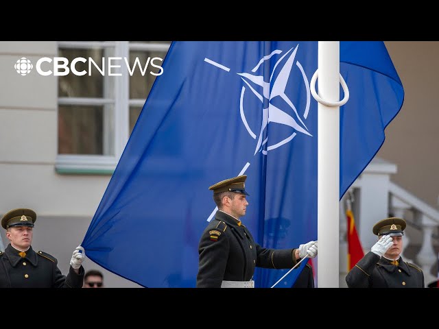 ⁣What do Trump's threats against Canada, Greenland mean for NATO? Your questions answered