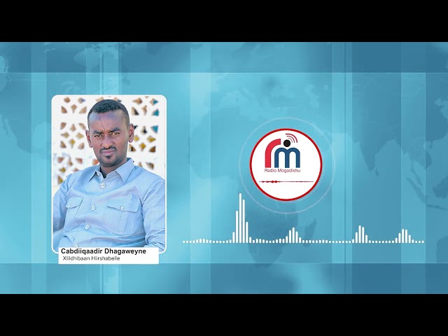 ⁣Xildhibaan Maxamuud dhagaweyne "Cidkasta oo lagu qabto  iyadoo isbaaro dhiganaysa Gobolka Hiira