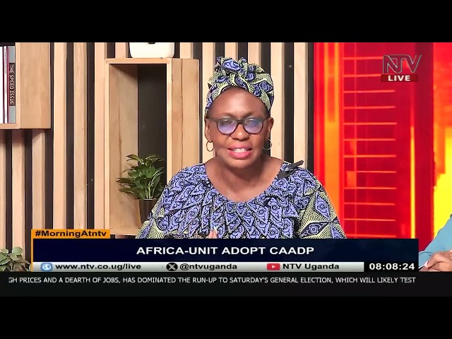 ⁣Uganda hosts the AU Summit on agriculture development | MorningAtNTV