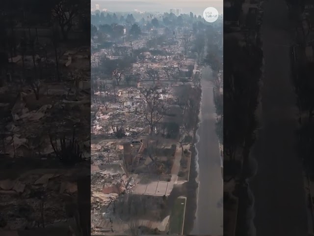 ⁣Aerial video shows Palisades Fire damage in Los Angeles #Shorts