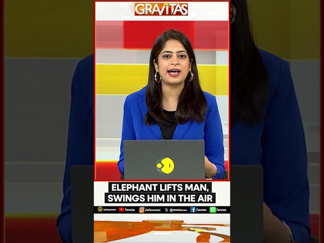 ⁣Man Vs Wild In Kerala: Elephant Seen Lifting A Man And Swinging In The Air | GRAVITAS | WION