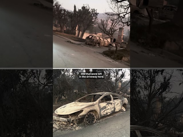 ⁣Reporter shows entire neighborhood burned, destroyed by Los Angeles wildfires