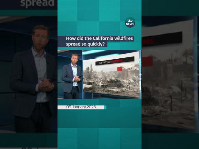 ⁣How did the California wildfires spread so quickly? #itvnews #wildfires #california