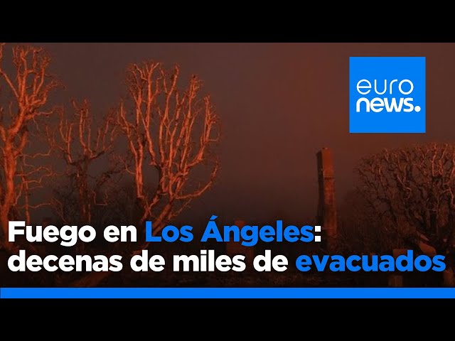 ⁣El devastador incendio de Los Ángeles: "Es como si hubiese caído una bomba"