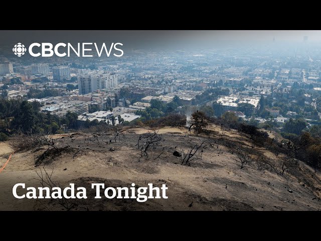 ⁣Smoke, debris from Sunset Fire unsafe and cardiologist says N95 masks are needed | Canada Tonight