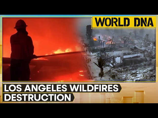 ⁣Widespread Devastation From Los Angeles Wildfire As City Attempts To Contain Blaze | World DNA LIVE