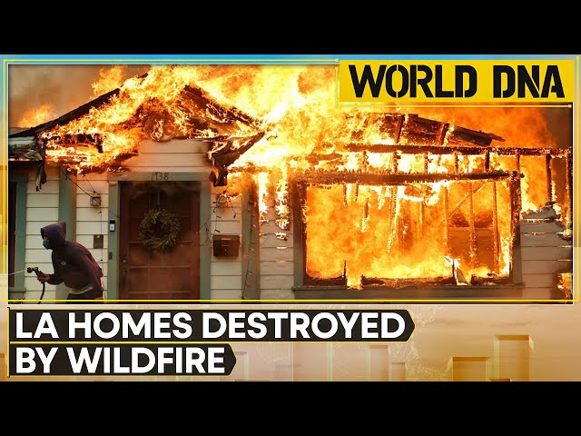 ⁣Los Angeles Wildfire: Residents Return To Remains Of Destroyed Homes | World News | World DNA