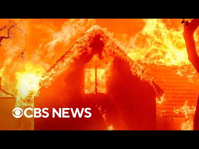 ⁣Thousands of L.A. homeowners do not have insurance amid fires