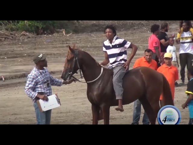 ⁣EQUESTRIAN ASSOCIATION MULLS FUTURE OF CREOLE HORSE RACE